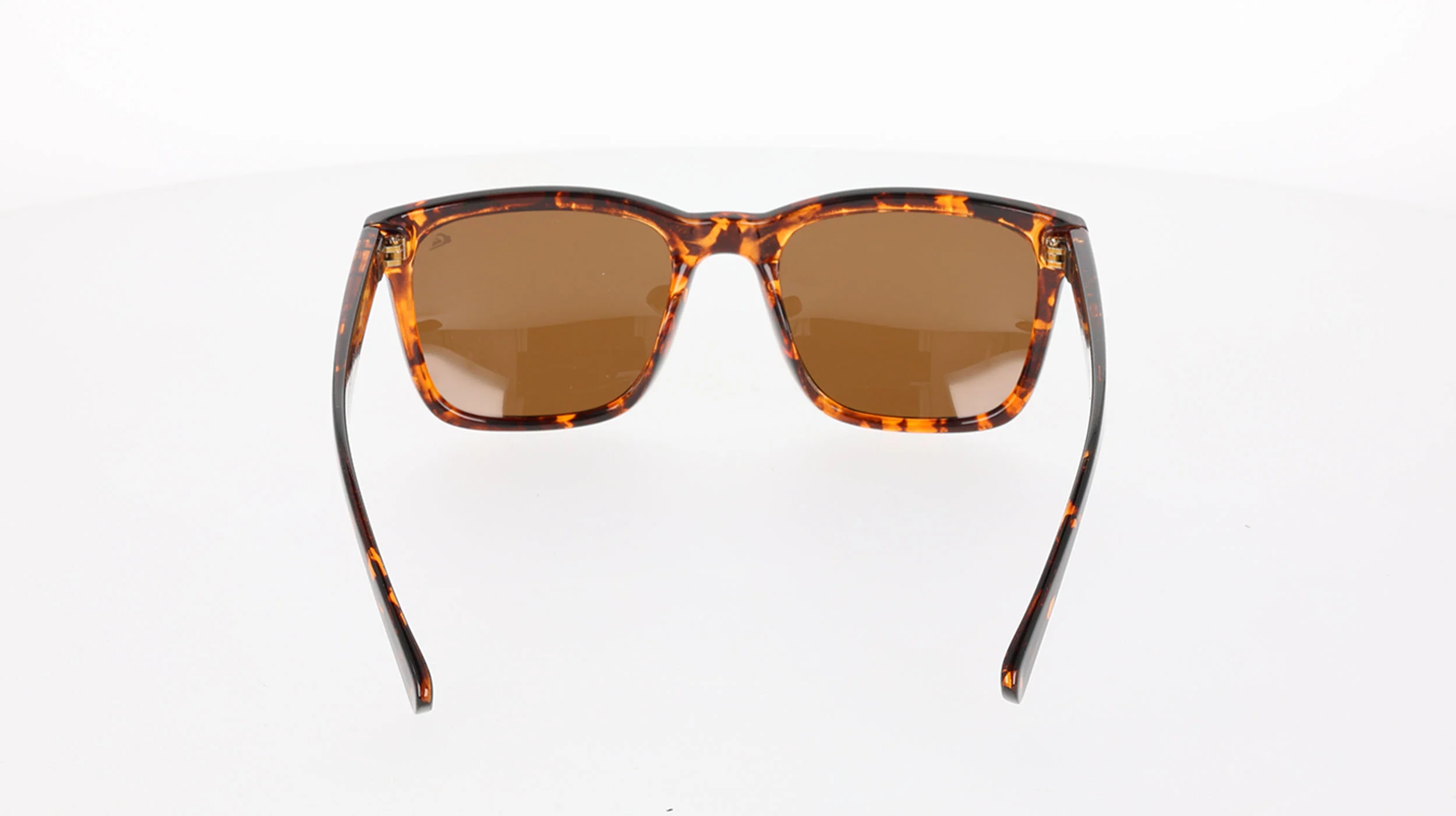 Driftwood Polarised Sunglasses - Image 3