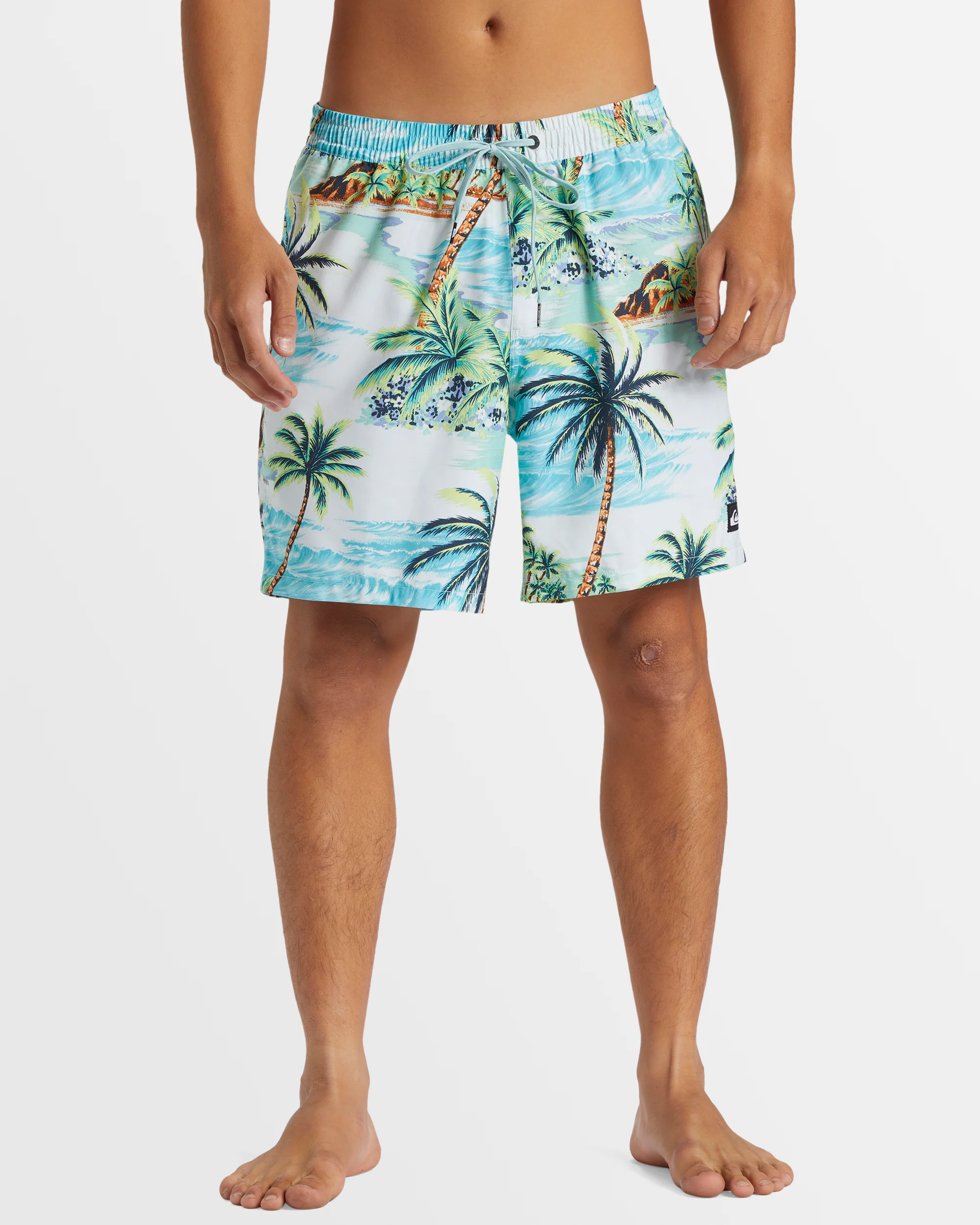 Mens Everyday Mix 17" Boardshorts