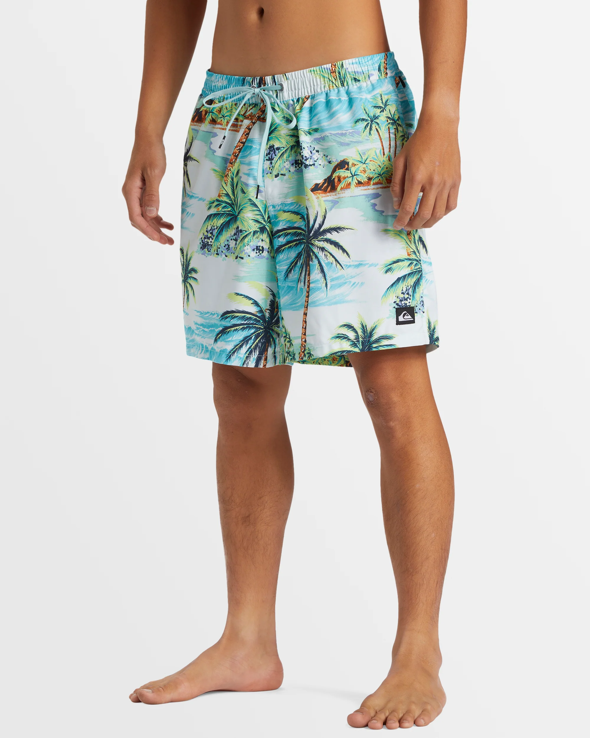 Mens Everyday Mix 17" Boardshorts - Image 2