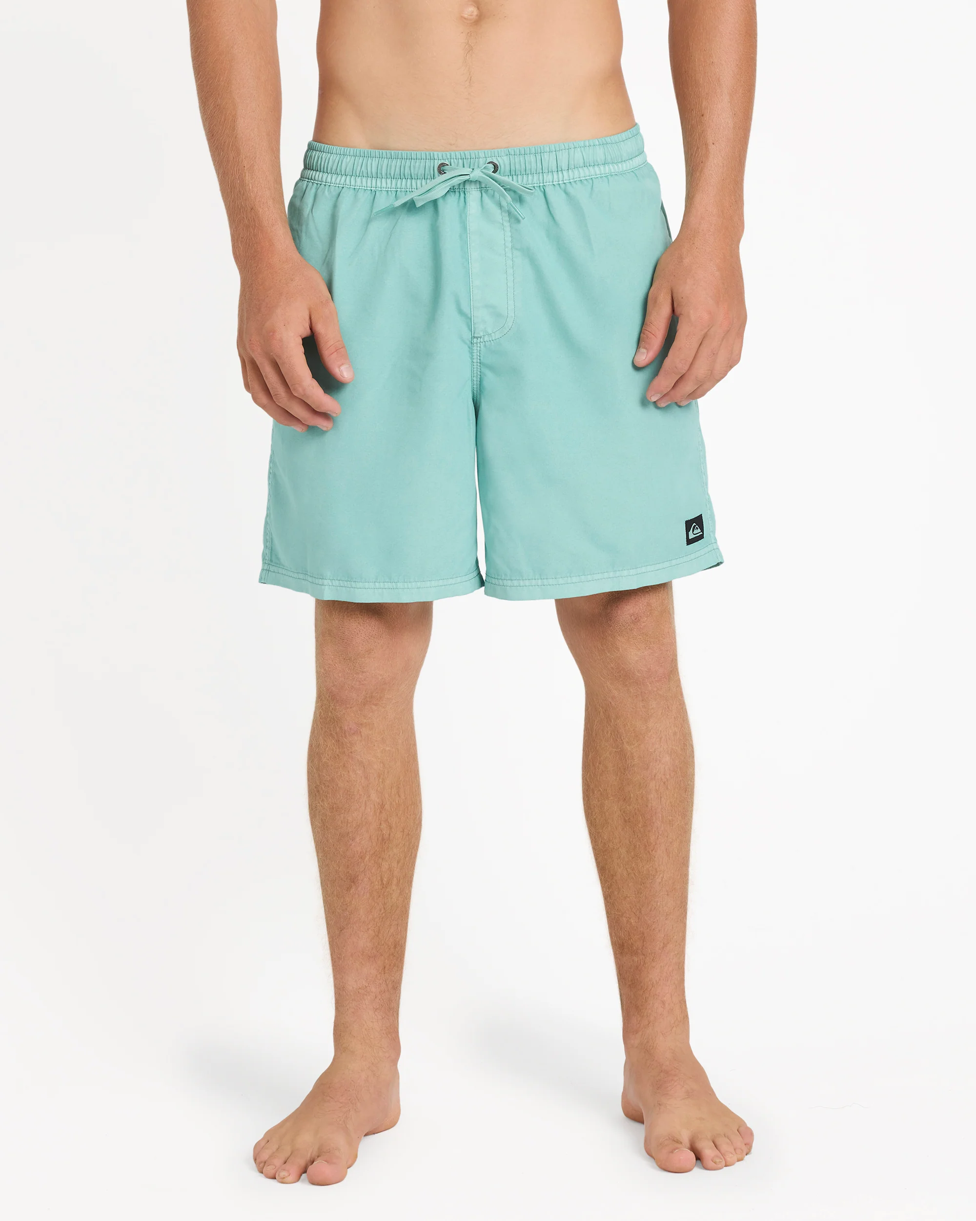 Mens Everyday Surfwash 17" Swim Shorts