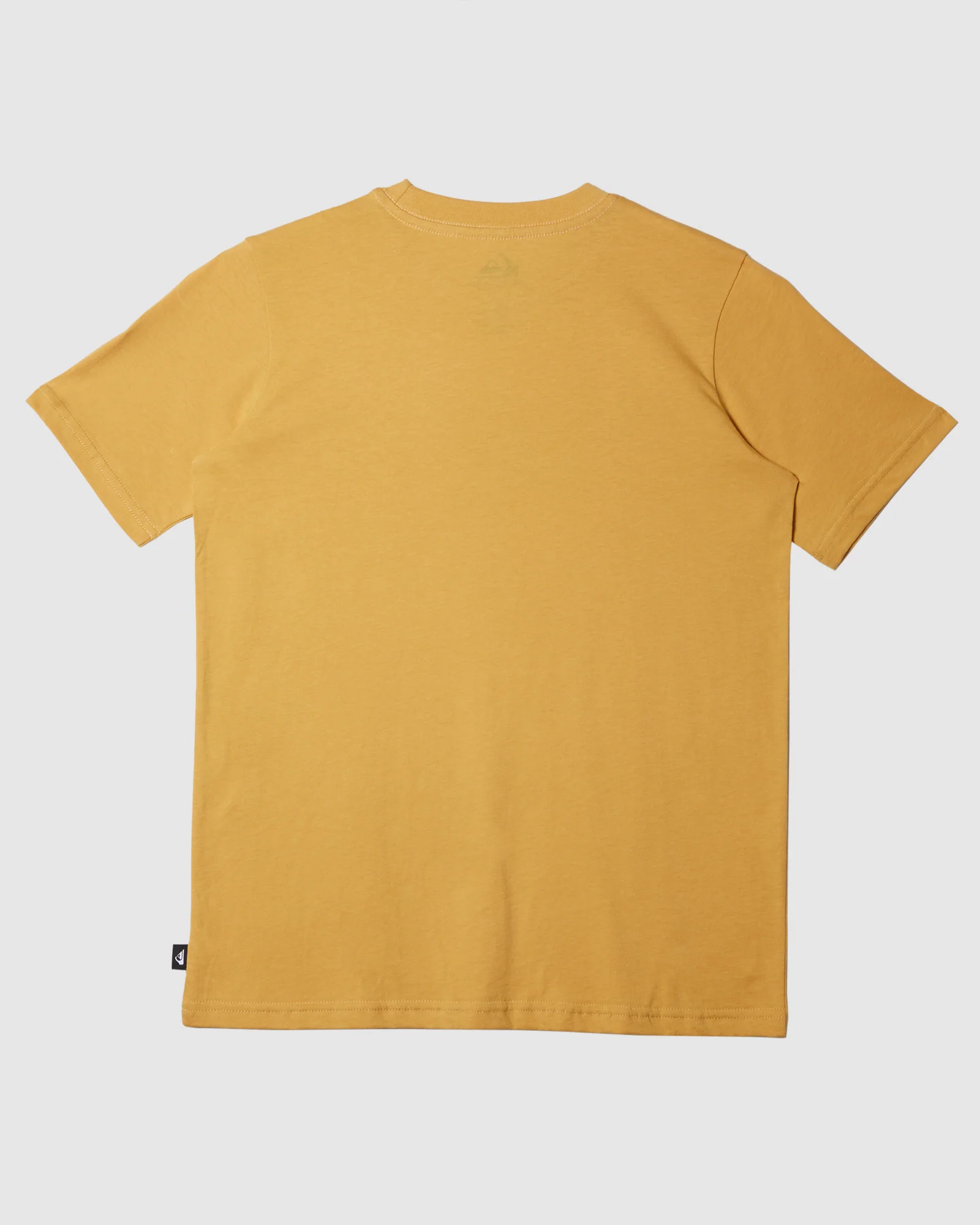 Boys 8-16 Gecko T-Shirt - Image 2